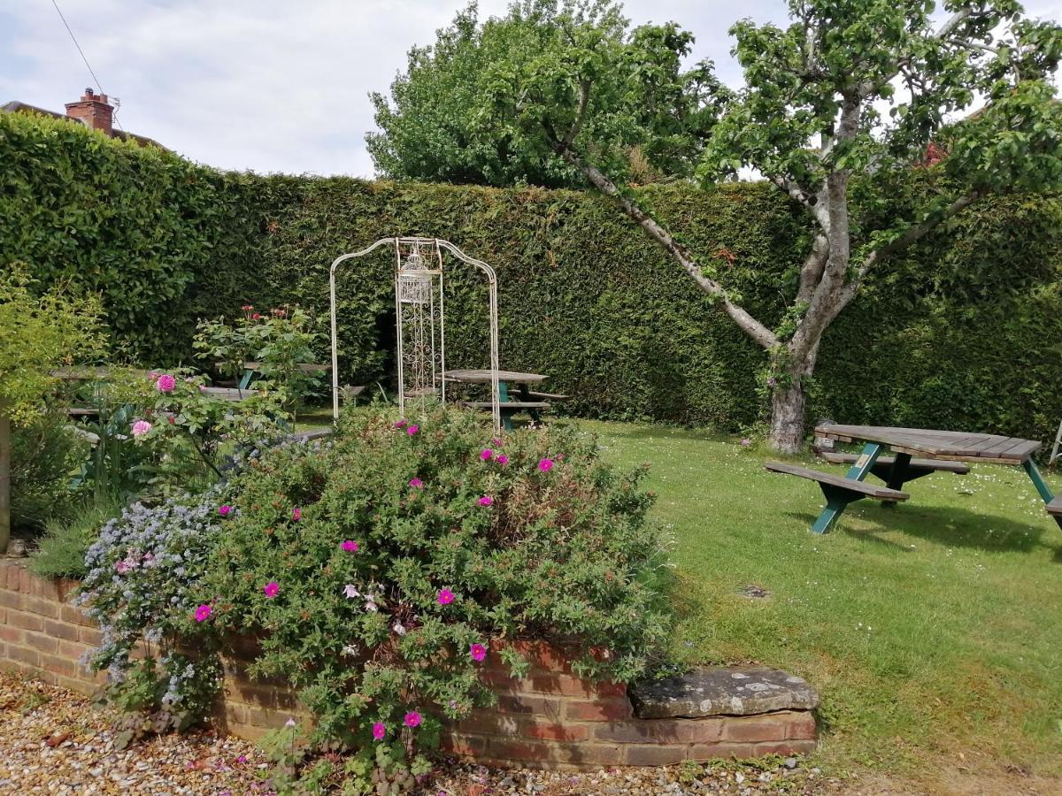 Shillingstone The Willows מראה חיצוני תמונה