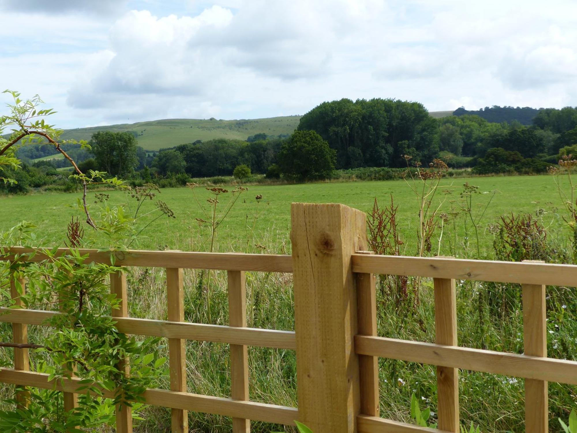 Shillingstone The Willows מראה חיצוני תמונה