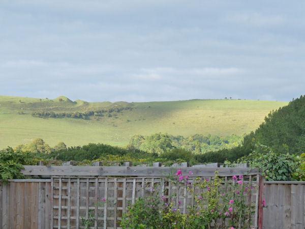 Shillingstone The Willows מראה חיצוני תמונה